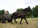 Sobota 2008