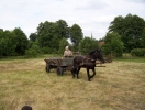 Sobota 2008
