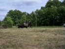 sobota_2008