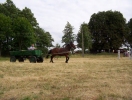sobota_2008