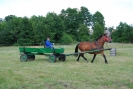 Sobota 2009