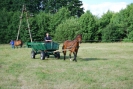 Sobota 2009