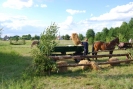 Sobota 2009